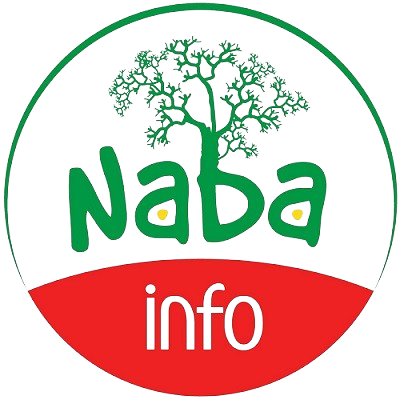 Naba Info