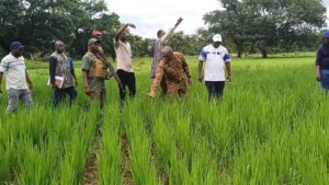 Visite du ministre chargé de l'Agriculture, Ismaël Sombié